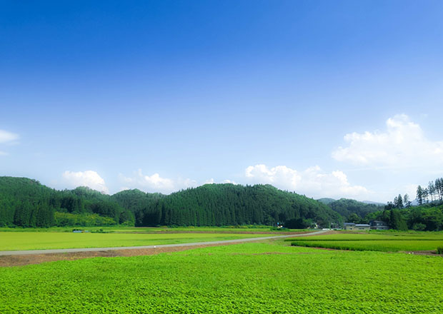 コントラスト正常